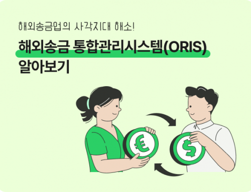 [테크컬럼] 해외송금업자·핀테크 등 금융 담당자를 위한 ORIS 제도 확인하기 with. 비대면 본인확인